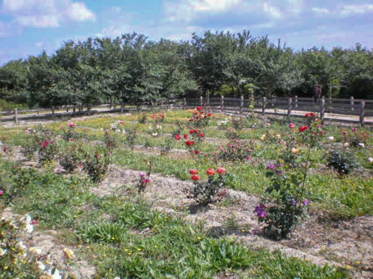 Aroggia Farm Villa Xanthátesz Kültér fotó