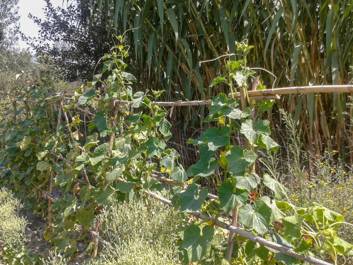 Aroggia Farm Villa Xanthátesz Kültér fotó